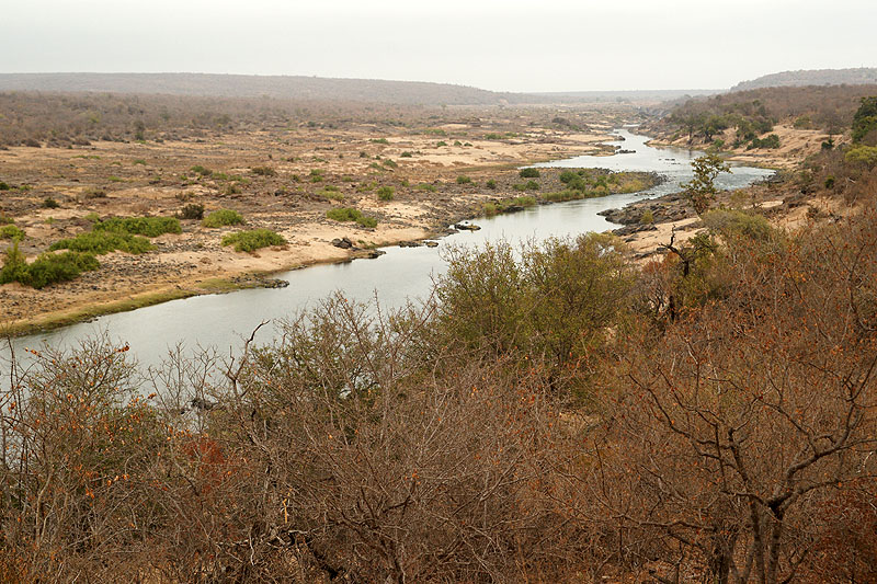 P.N. Kruger - Environs d Olifants