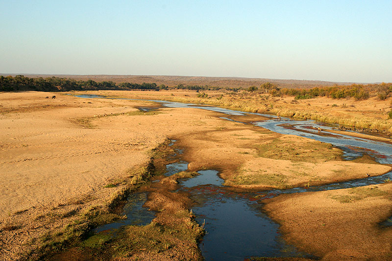 P.N. Kruger - Environs de Letaba