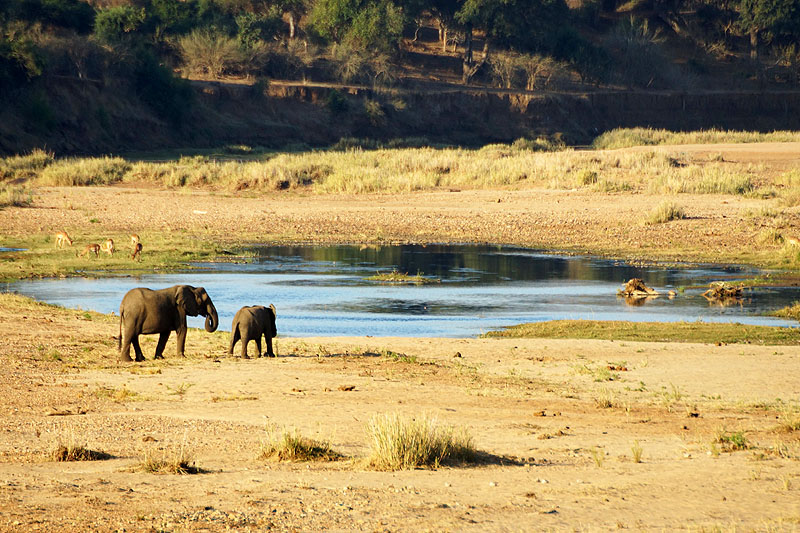 P.N. Kruger - Environs de Letaba