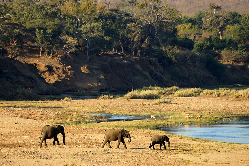P.N. Kruger - Environs de Letaba