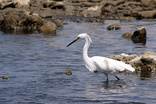 BONAIRE - Washington Slagbaai National Park