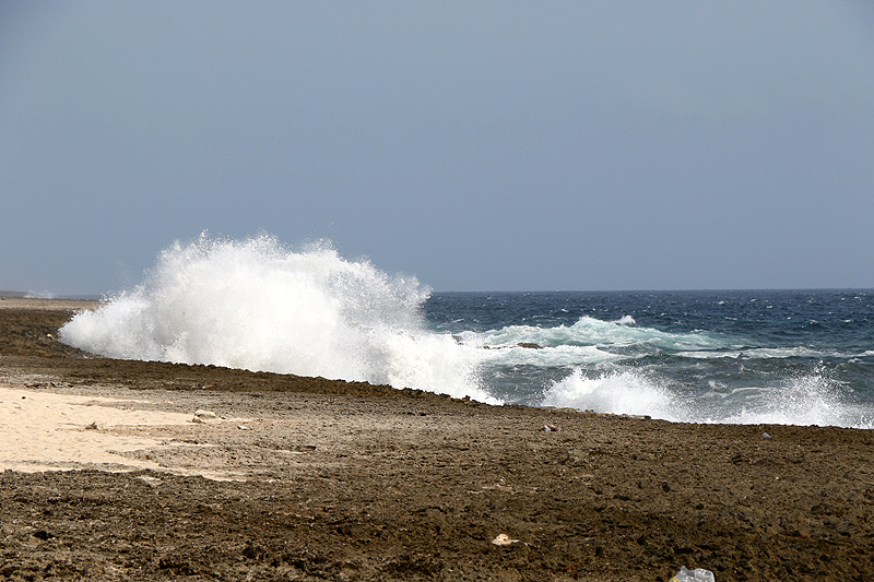 Washington Slagbaai National Park