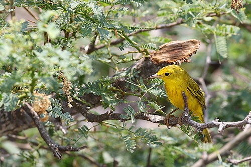 BONAIRE - Washington Slagbaai National Park