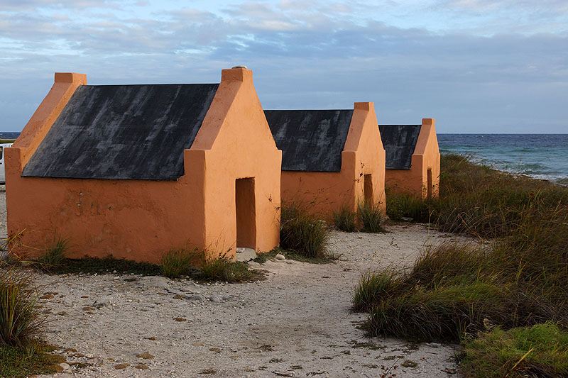 Sud de l île