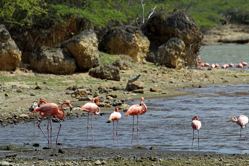 Parc national de Washington Slagbaai