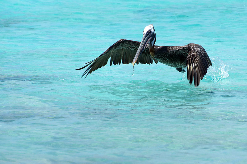 Sud de l île