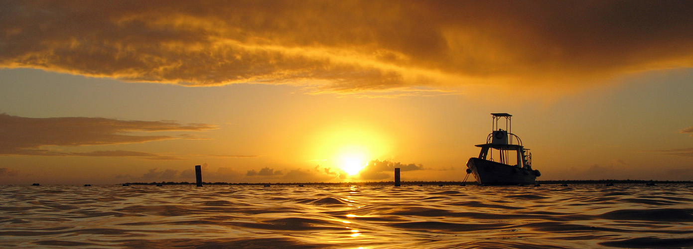 Photo panoramique du coucher de soleil