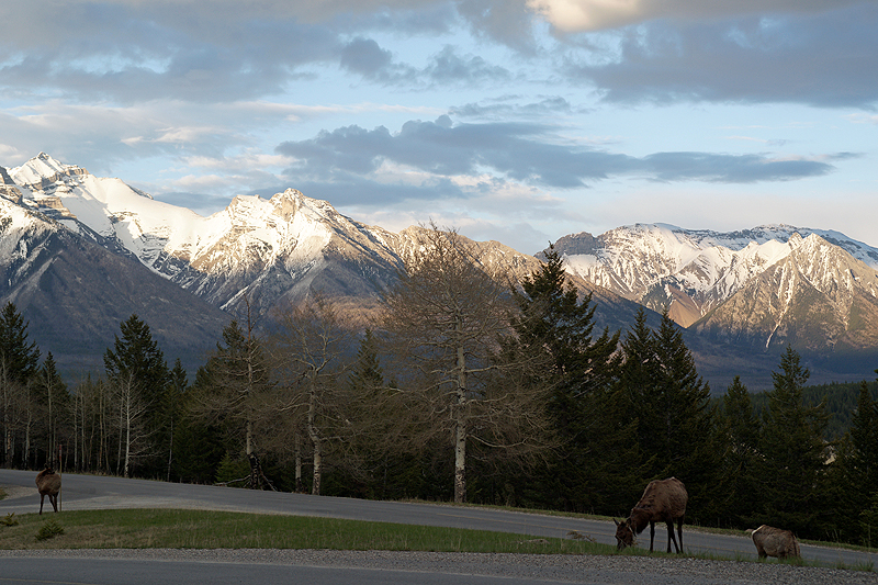 Banff