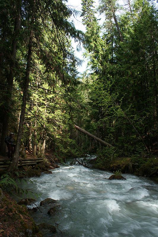 Radium Hot Springs