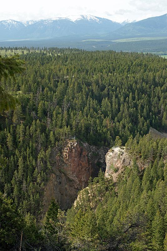 Radium Hot Springs