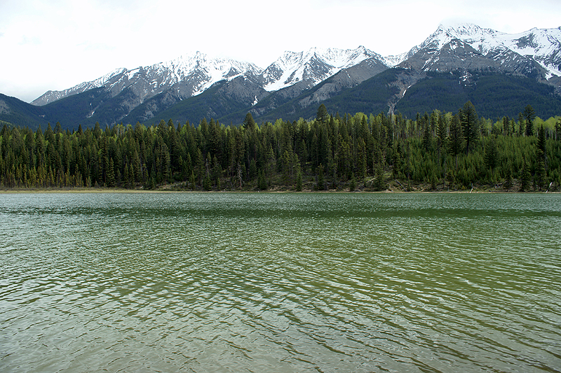 P.N. de Kootenay