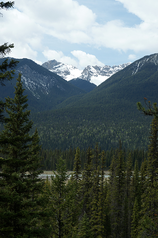P.N. de Kootenay