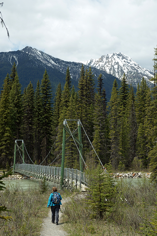 P.N. de Kootenay