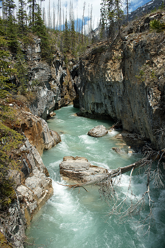 P.N. de Kootenay