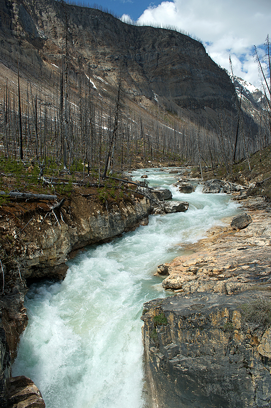 P.N. de Kootenay