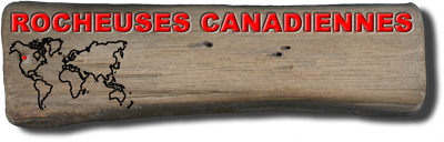 ROCHEUSES CANADIENNES du 20 mai au 11 juin 2011