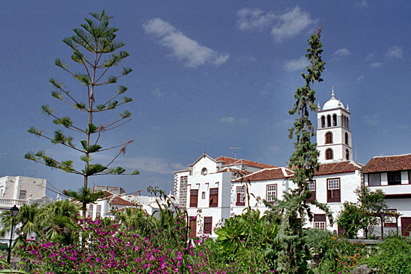 Photo Canaries