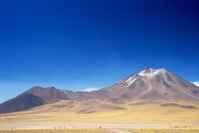[q]San Pedro de Atacama[q]