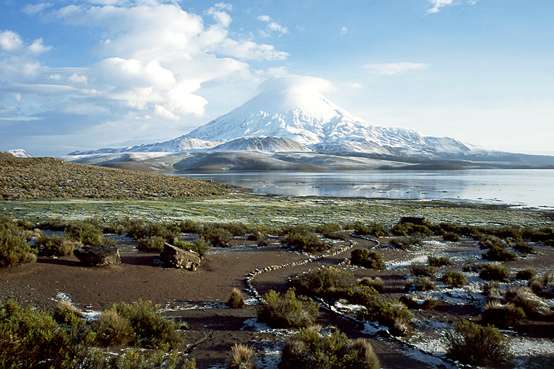 Lauca