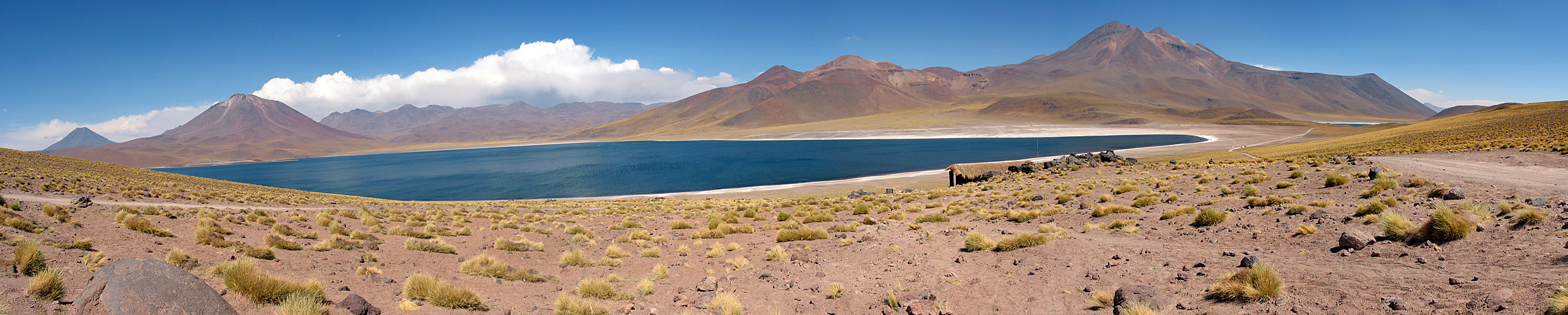 Photo panoramique de la [q]Laguna Miscanti[q]