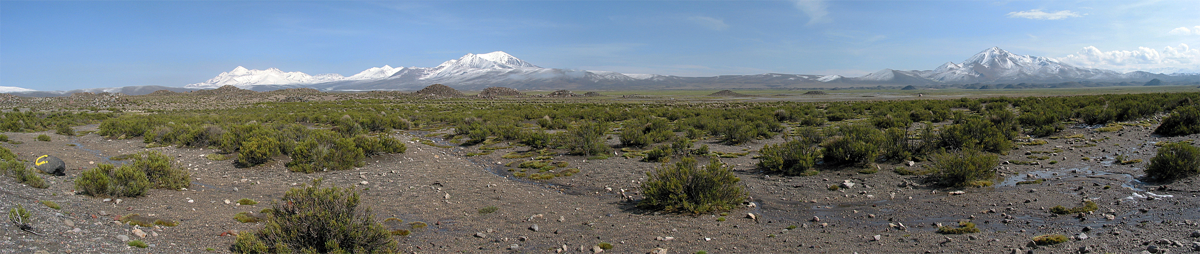 Photo panoramique du parc national Lauca