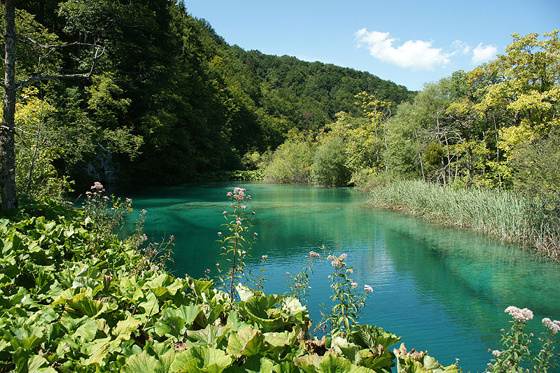 Lacs de Plitvice
