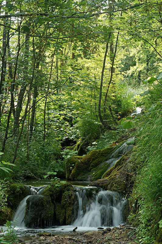 Lacs de Plitvice