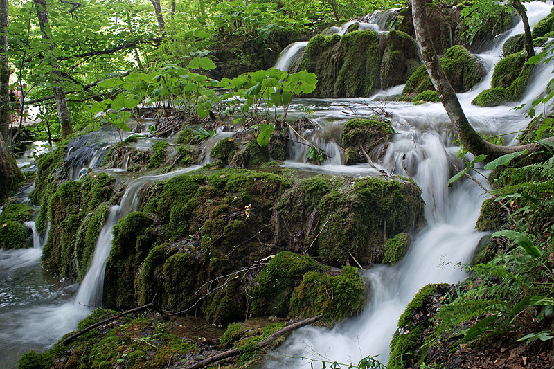 Photo rando lacs de Plitvice 