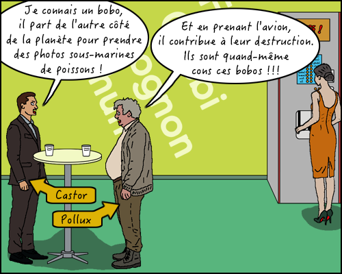 BD espèces de Méditerranée - 1