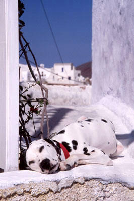 GRECE - Santorin