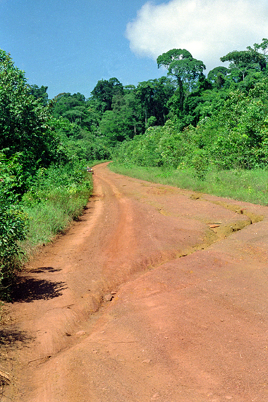 Cacao