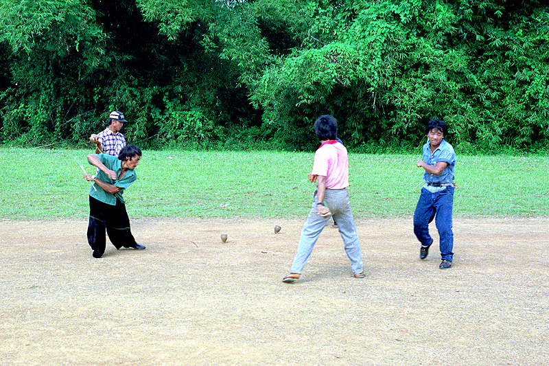 Cacao