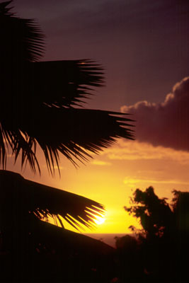 GUADELOUPE - Pigeon-Bouillante