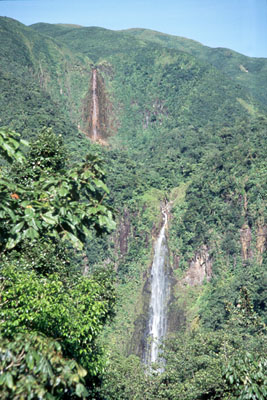 GUADELOUPE - Les chutes du Carbet