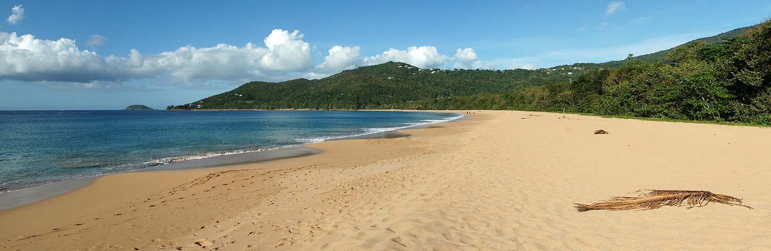 GUADELOUPE - photo panoramique de la plage de Deshaies