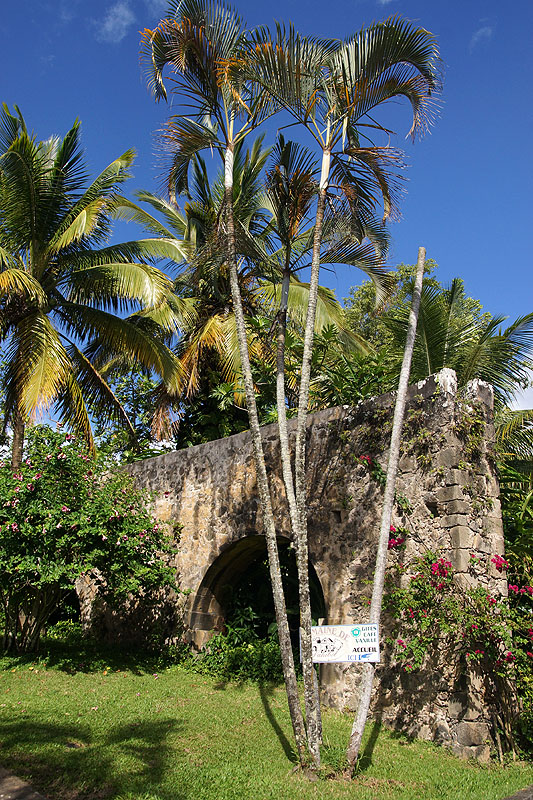 Vieux-Habitants