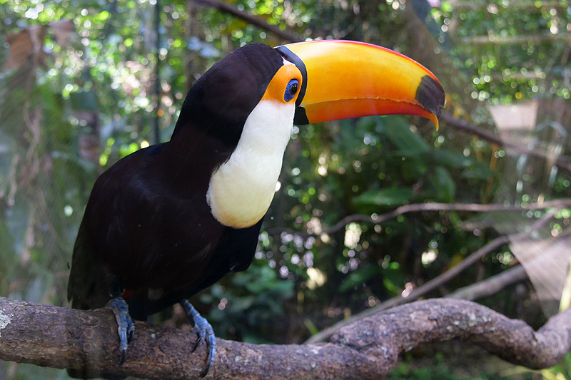 Zoo de Guadeloupe