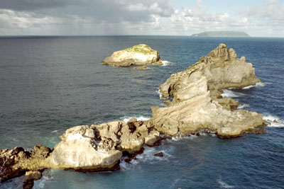 GUADELOUPE - Pointe des Châteaux