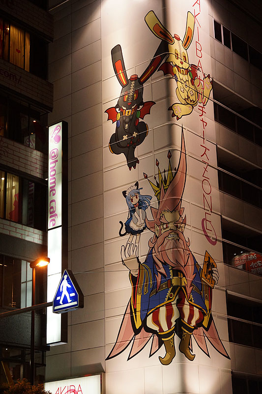 Tōkyō - Quartier d Akihabara