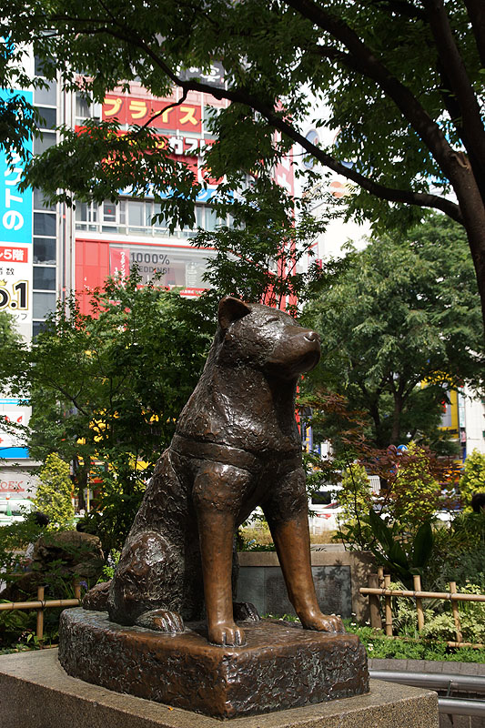 Tōkyō - Quartier de Shibuya