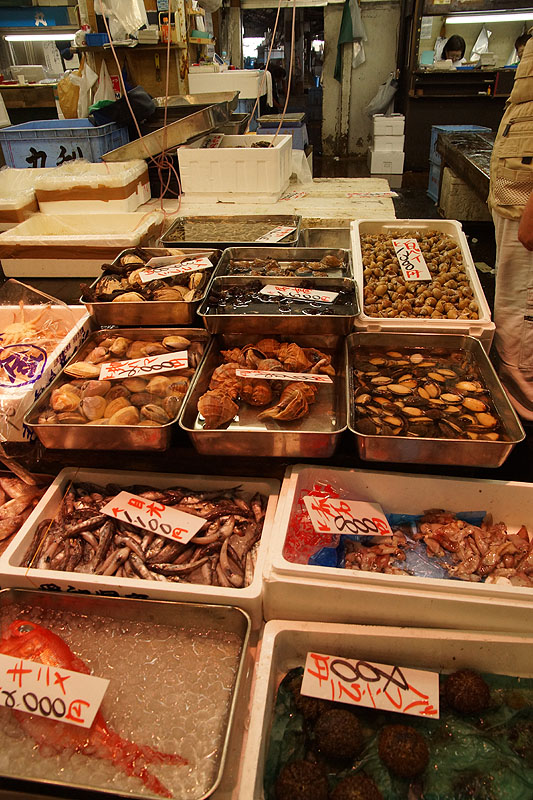 Tōkyō - Marché aux poissons de Tsukiji