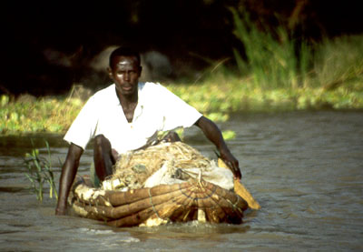 KENYA - Lac Baringo