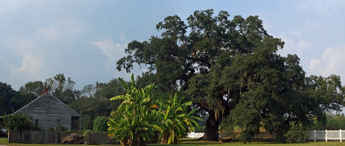 Photo panoramique de [q]Evergreen Plantation[q]