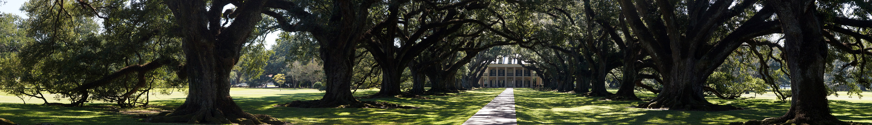 Photo panoramique de [q]Oak Alley Plantation[q]