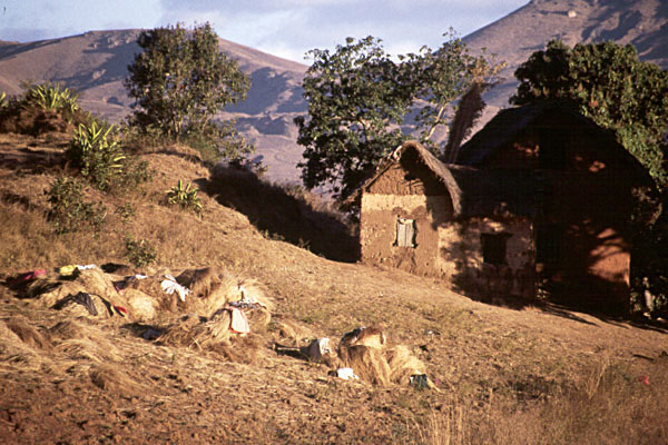 Photo Madagascar
