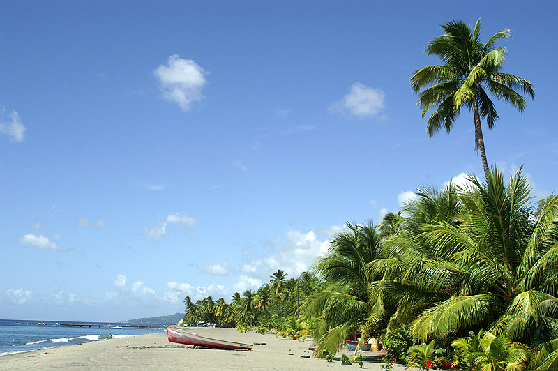 Plage du Carbet