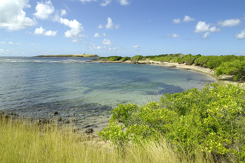 Salines