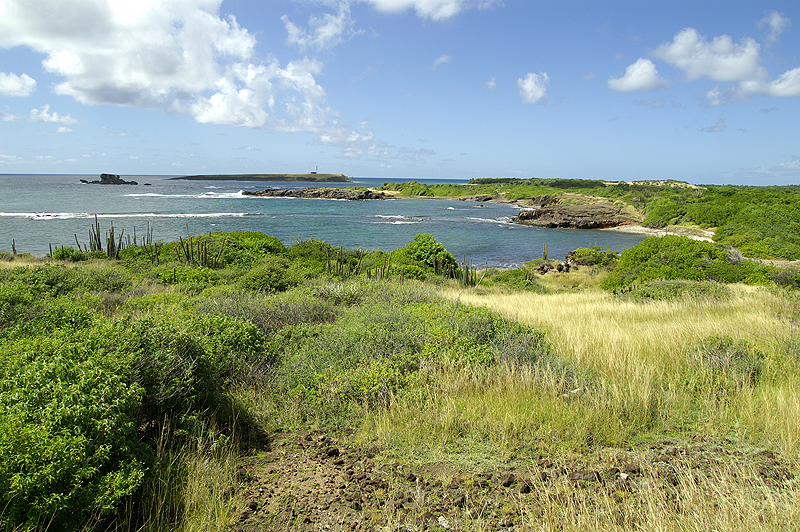 Salines