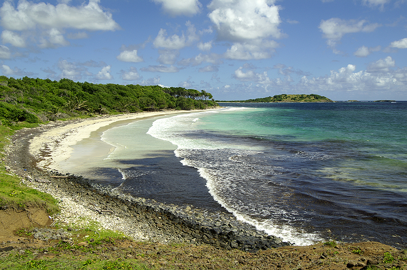 Salines
