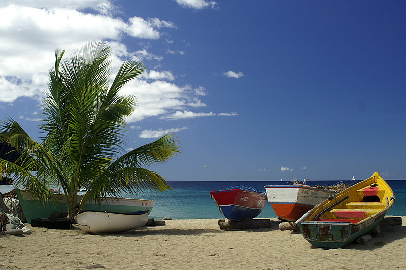 Anse Dufour